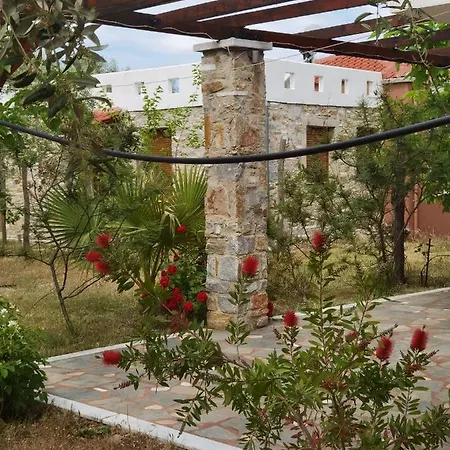 Elea Stone In Organic Quiet Olive Grove, Prinos, Thassos Vilă *
