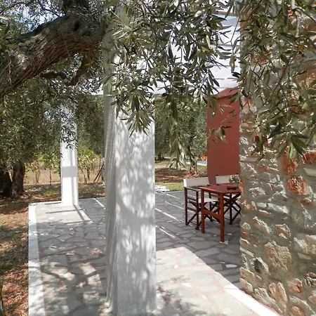 Elea Stone In Organic Quiet Olive Grove, Prinos, Thassos Vilă *