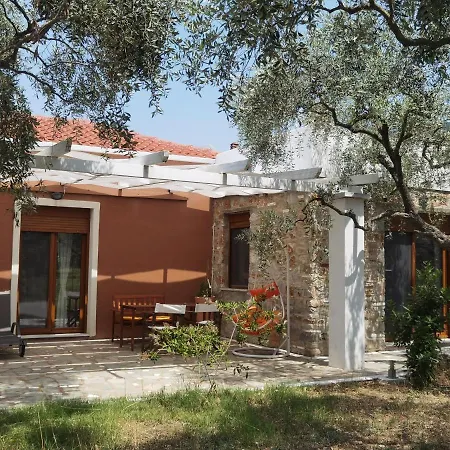 Elea Stone In Organic Quiet Olive Grove, Prinos, Thassos Vilă