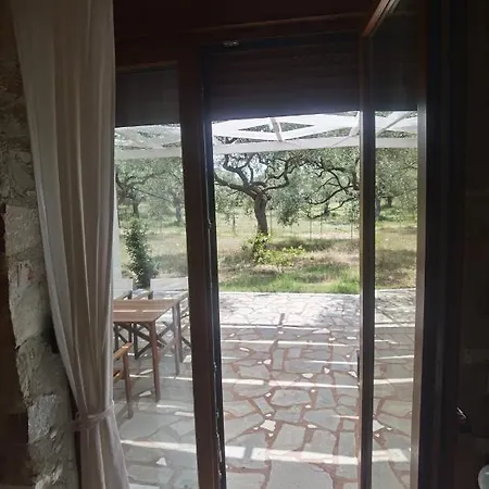Elea Stone In Organic Quiet Olive Grove, Prinos, Thassos Vilă Prínos