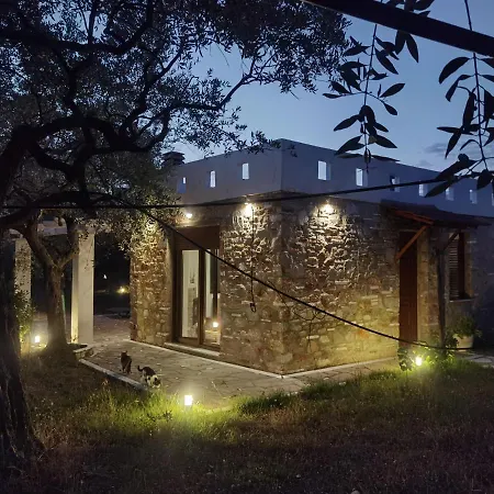 Elea Stone In Organic Quiet Olive Grove, Prinos, Thassos Vilă Prínos