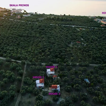 Elea Stone In Organic Quiet Olive Grove, Prinos, Thassos Vila *