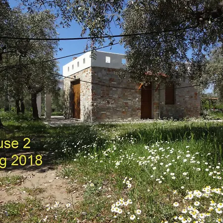 Vila Elea Stone In Organic Quiet Olive Grove, Prinos, Thassos