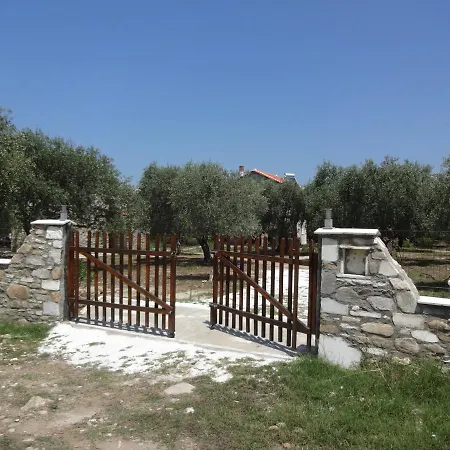 Elea Stone In Organic Quiet Olive Grove, Prinos, Thassos * Prínos